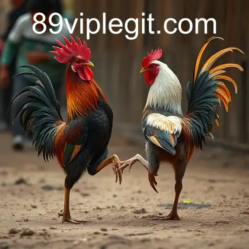 The Complex World of Cockfighting and the Emergence of 89VIP